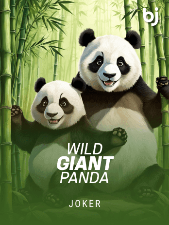 Wild Giant Panda screenshot